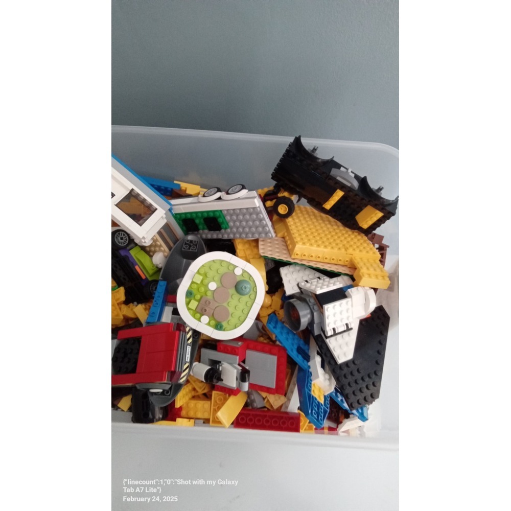 LEGO Bulk Lot Bricks & Pieces Assorted Random Mixed Parts & Elements